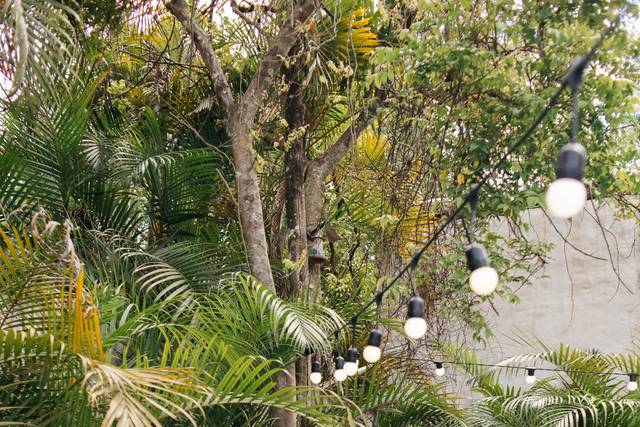 O casamento de Larissa e Philipe 2