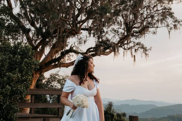 Property Eventos 2