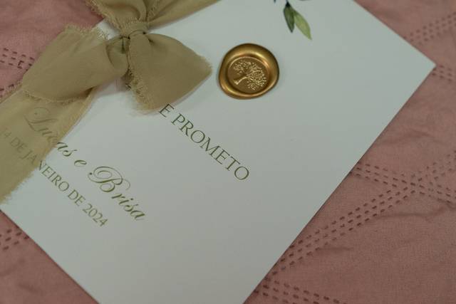 O casamento de Brisa e Lucas 2