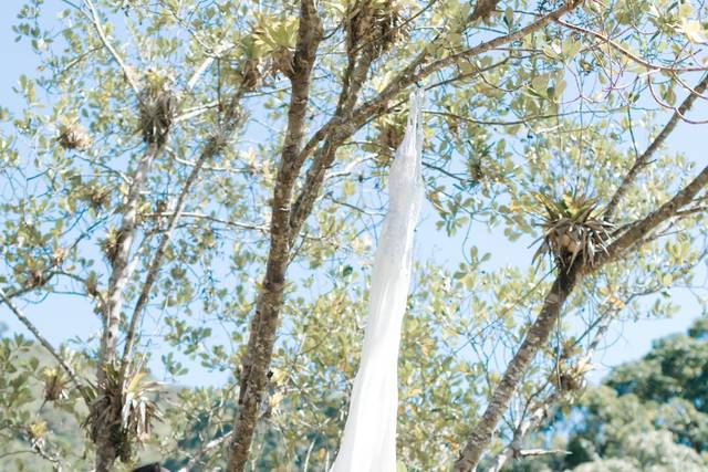 Cristal Wedding Fotografia 3