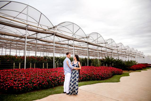 O casamento de Carol e Elieder 2
