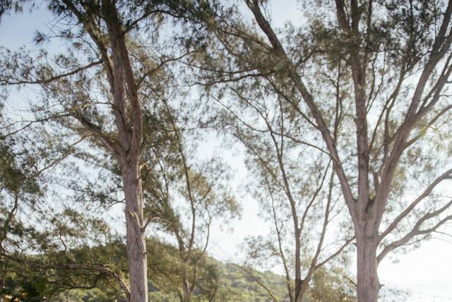 O casamento de Schirley e Alfredo 3