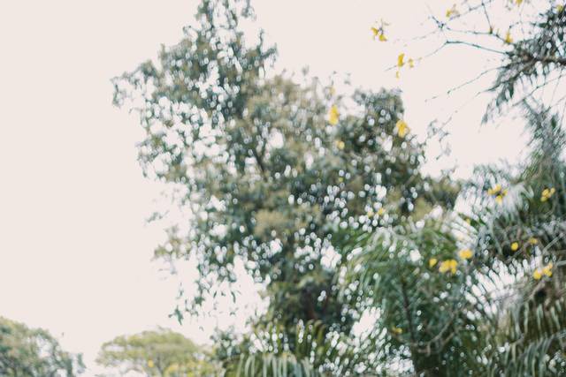 O casamento de Ranielly e Victor 3