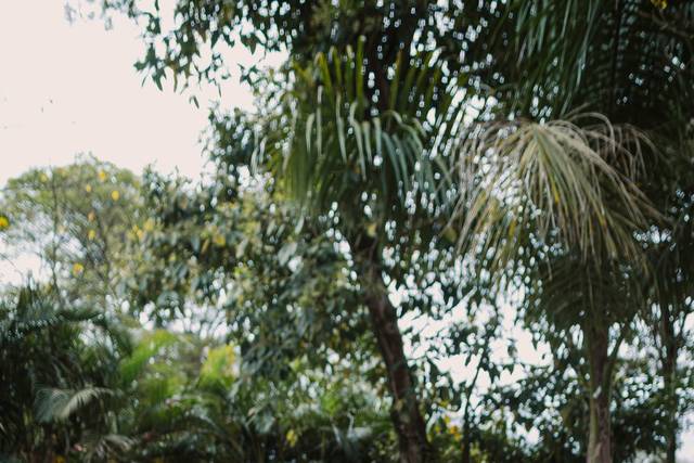 Fotografia YMR 3