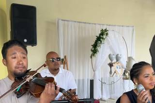 Marley's Paradise - 5