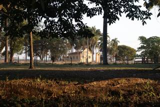 Fazenda Boiada - 4
