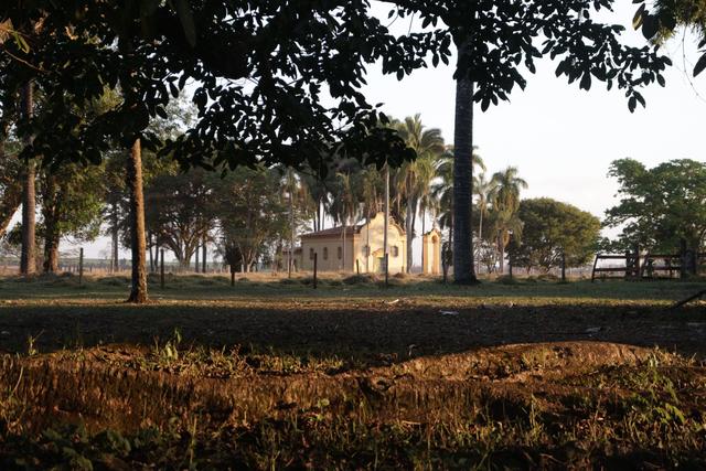 Fazenda Boiada - 1