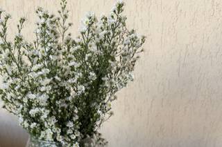 Aurascent Velas e Aromas - 6