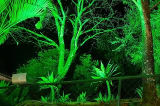 Vale dos Sonhos - 19