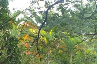 Espaço Mara Eventos - 8