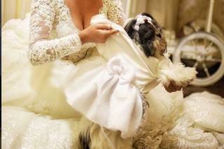 Studio FotoBrasil - 4