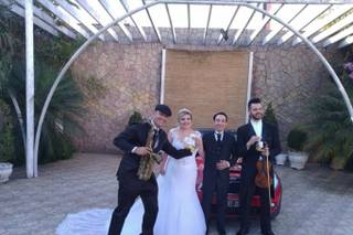 Musical Harmoniza - 8