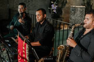 Orquestra Hidromel - 8