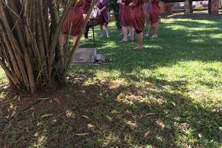 Fazenda Vassoural - 8