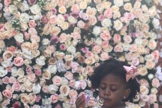 Li Decorações e Eventos - 8