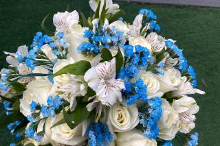 Sonho de Ouro Eventos - 15