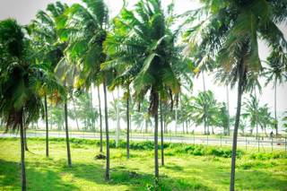 Stephano Fotografias - 12