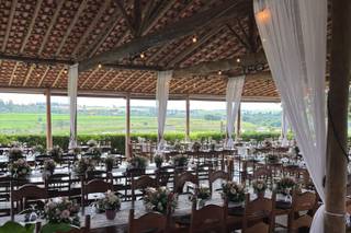 Fazenda Casa Branca - 13