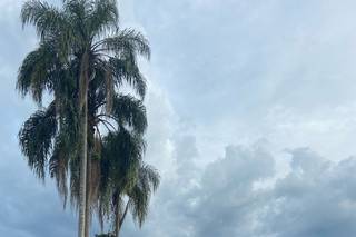 Sítio Sunshine - 11