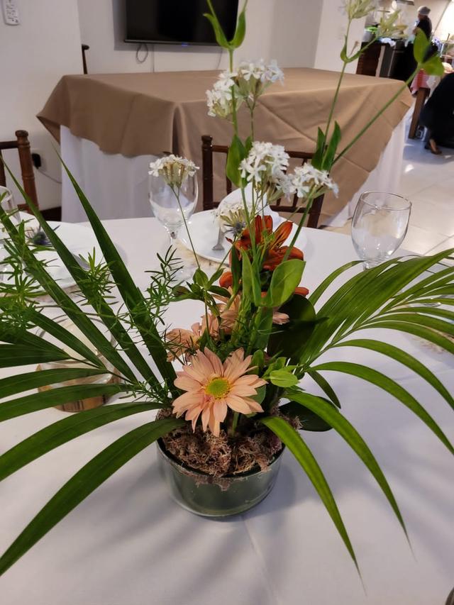 Mari Falanga Decora - 3