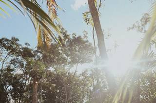 Espaço Florativa - 8