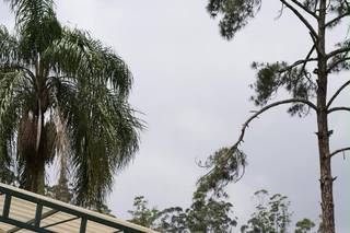 Espaço La Forêt - 10