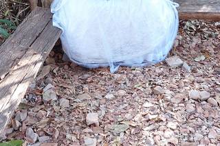 Silvana Carvalho Noivas e Festas - 11