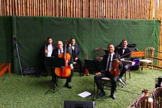 Grupo Musicale - 5