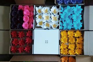 Cose Belle - Forminhas - 7