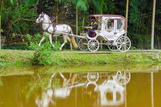Sitio Lagoa da Serra - 9