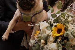 Emoções Filmes - 5