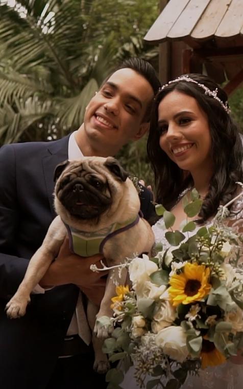 Emoções Filmes - 2