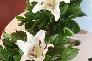 M & E Decorações e Buffet - 5