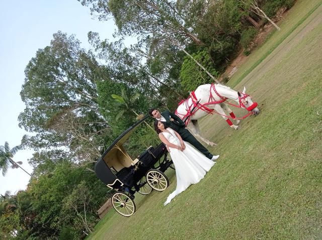 Fênix Cerimonial e Eventos - 4