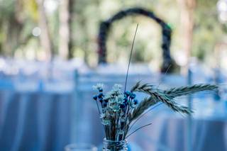 Agência Tomate - 11