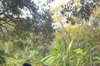 NJ Assessoria e Cerimonial - 1