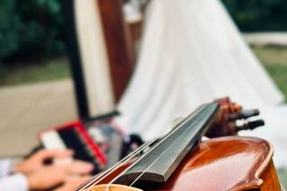Harmonise Produções Musicais - 17