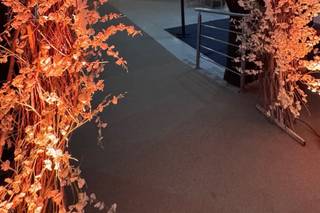 Alumiar Eventos - 7