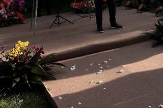 Will Mendes Celebrante - 5