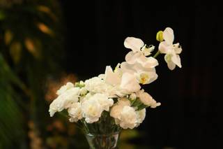 Lola Flores - 6