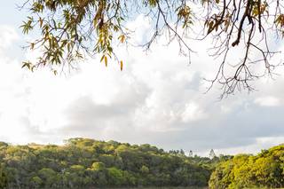 Rosivaldo Fotografia - 15