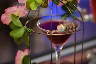 Los Guapos Bar Service - 6