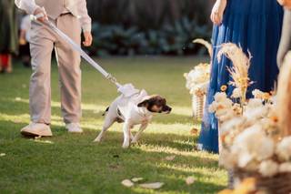 Espaço Treville - 22