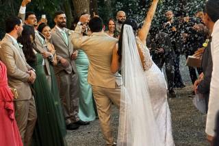 Império da Mata - 6