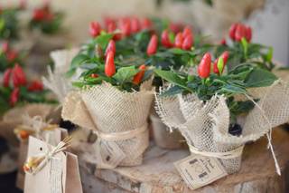 Dammas - Assessoria e Consultoria - 6