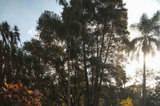 Cesar Mazzucca Fotografia - 23