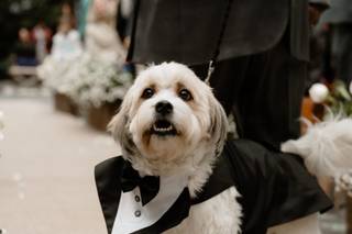 Thaina Pet Sitter - 7