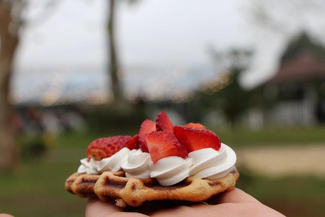 Delícias do Mundo Waffles - 3