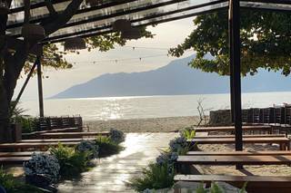 Gabriela Palmeira - 6