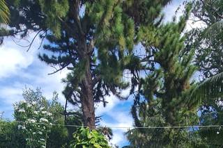 Quinta da Aldeia - 21